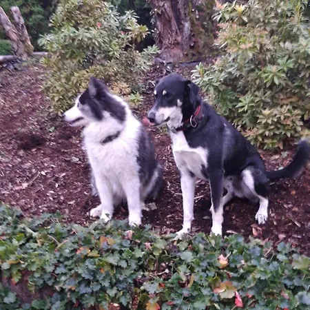 Landhaus-eifelhoehe Vakantiehuis